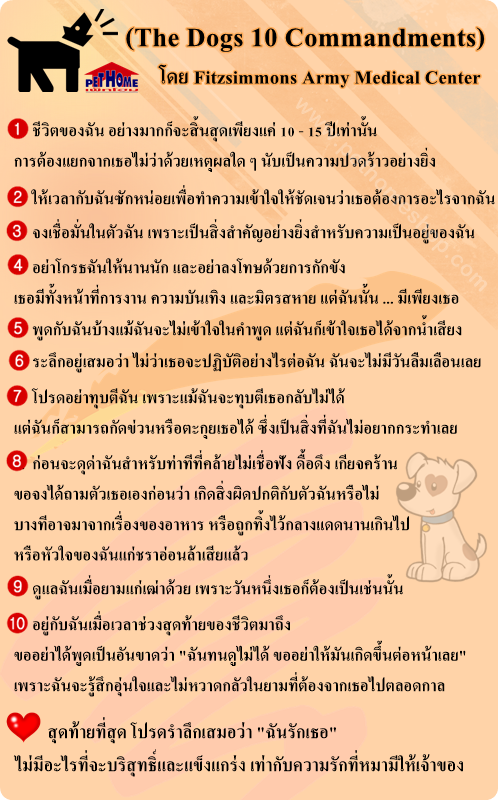 10commandments0