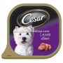 Cesar____________49e1e248560d9