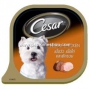 Cesar____________49e1e5c0bdc23