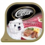 Cesar____________49e1e71b893ac