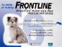 Frontline_Spot_o_49dc9e9939250