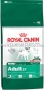 Royal_Canin_Mini_49ddae15e64eb